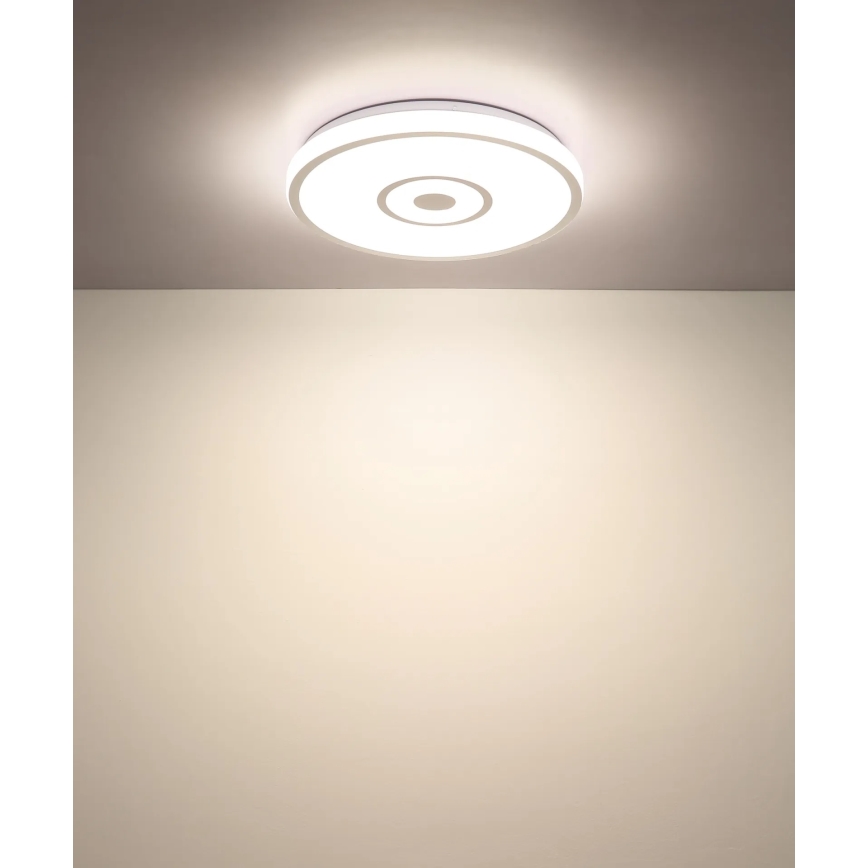 Globo - LED-kattovalaisin LED/24W/230V 3000/4000/6000K halkaisija 38 cm valkoinen/mattakromi