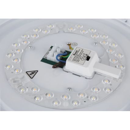 Globo - LED-kattovalaisin LED/24W/230V 3000/4000/6000K halkaisija 38 cm valkoinen/mattakromi