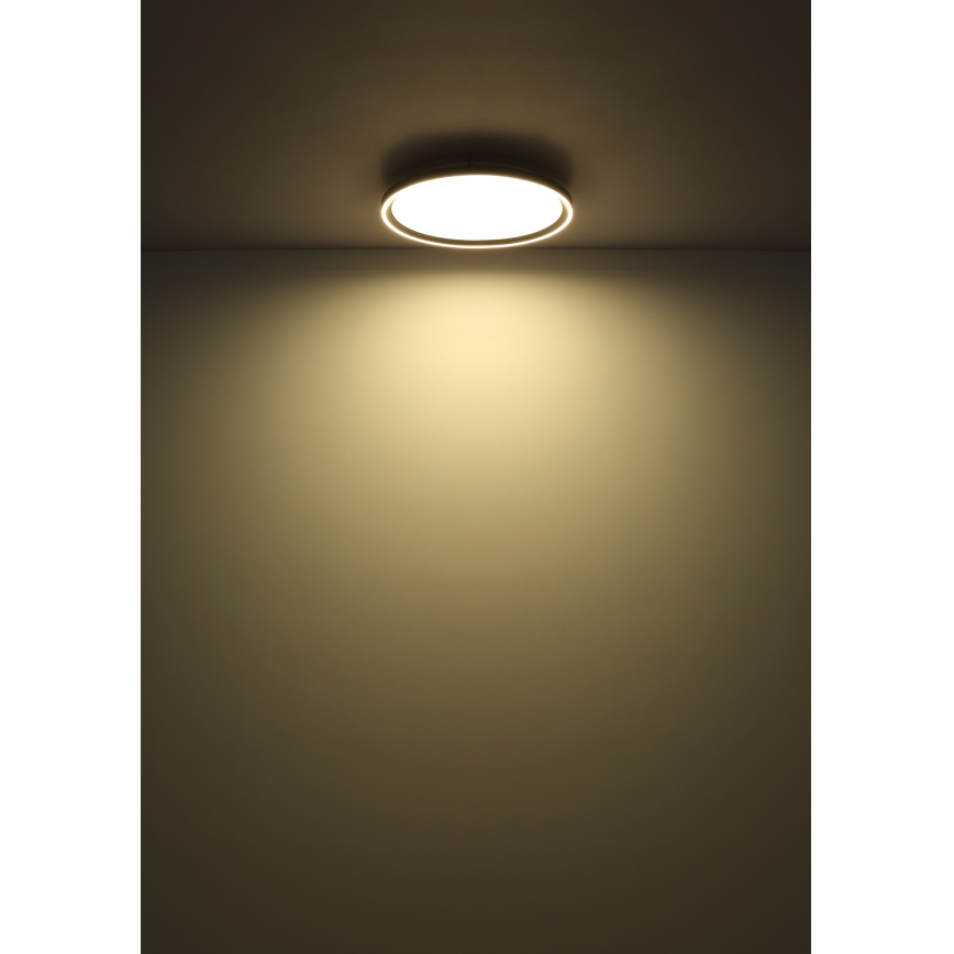 Globo - Himmennettävä LED-kattovalaisin LED/48W/230V halkaisija 50 cm 2700-6000K + kauko-ohjaus