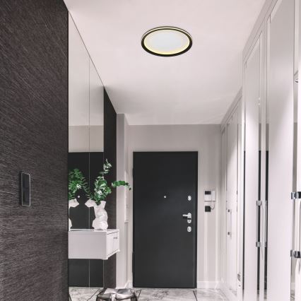 Globo - Himmennettävä LED-kattovalaisin LED/24W/230V 2700-6000K + kauko-ohjaus