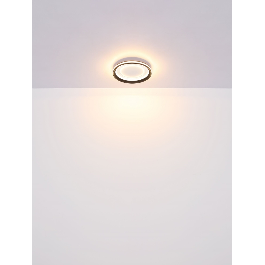 Globo - Himmennettävä LED-kattovalaisin LED/24W/230V 2700-6000K + kauko-ohjaus