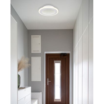 Globo - LED-kattovalaisin LED/12W/230V 4000K