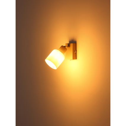 Globo - Seinäspotti 1xE14/25W/230V