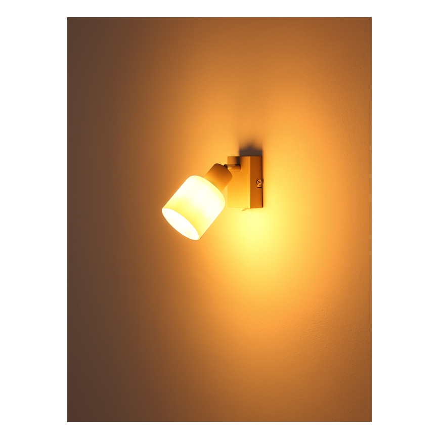 Globo - Seinäspotti 1xE14/25W/230V