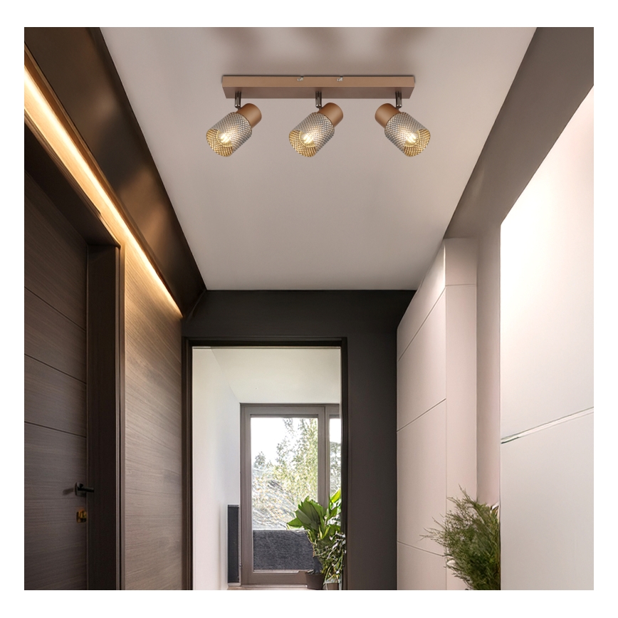 Globo - Kohdevalo 3xE14/40W/230V