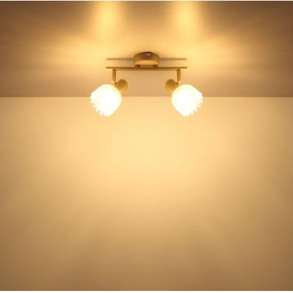 Globo - Kohdevalaisin 2xE14/40W/230V