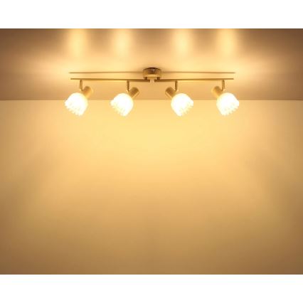 Globo - Spottivalaisin 4xE14/40W/230V