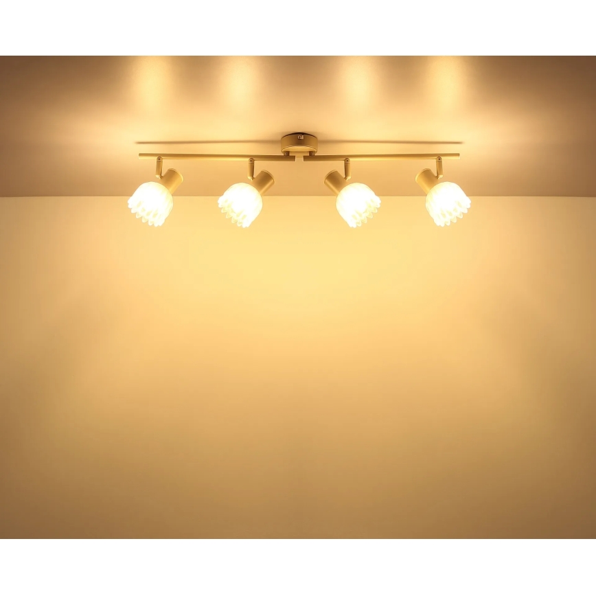 Globo - Spottivalaisin 4xE14/40W/230V