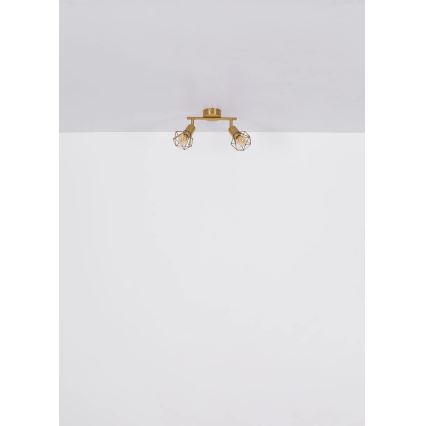 Globo - Kohdevalo 2xE14/40W/230V kulta