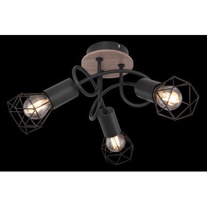 Globo - Pinta-asetettava kattokruunu 3xE14/40W/230V