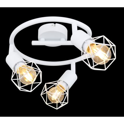 Globo - Kohdevalo 3xE14/40W/230V