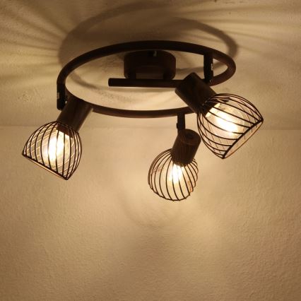 Globo - Kohdevalo 3xE14/40W/230V