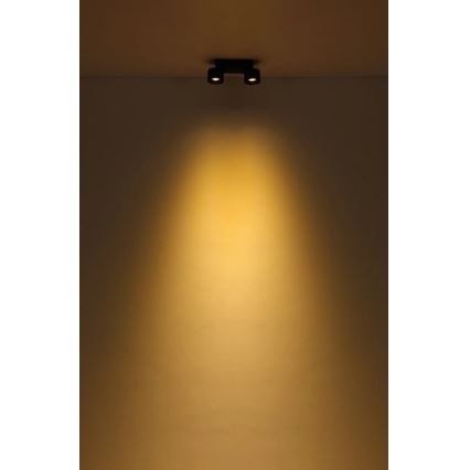 Globo - LED-kohdevalaisin 2xLED/6W/230V musta