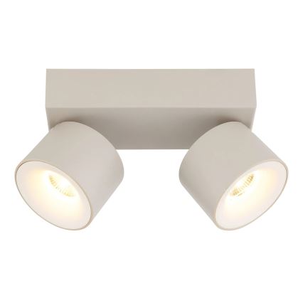 Globo - LED-kohdevalaisin 2xLED/6W/230V