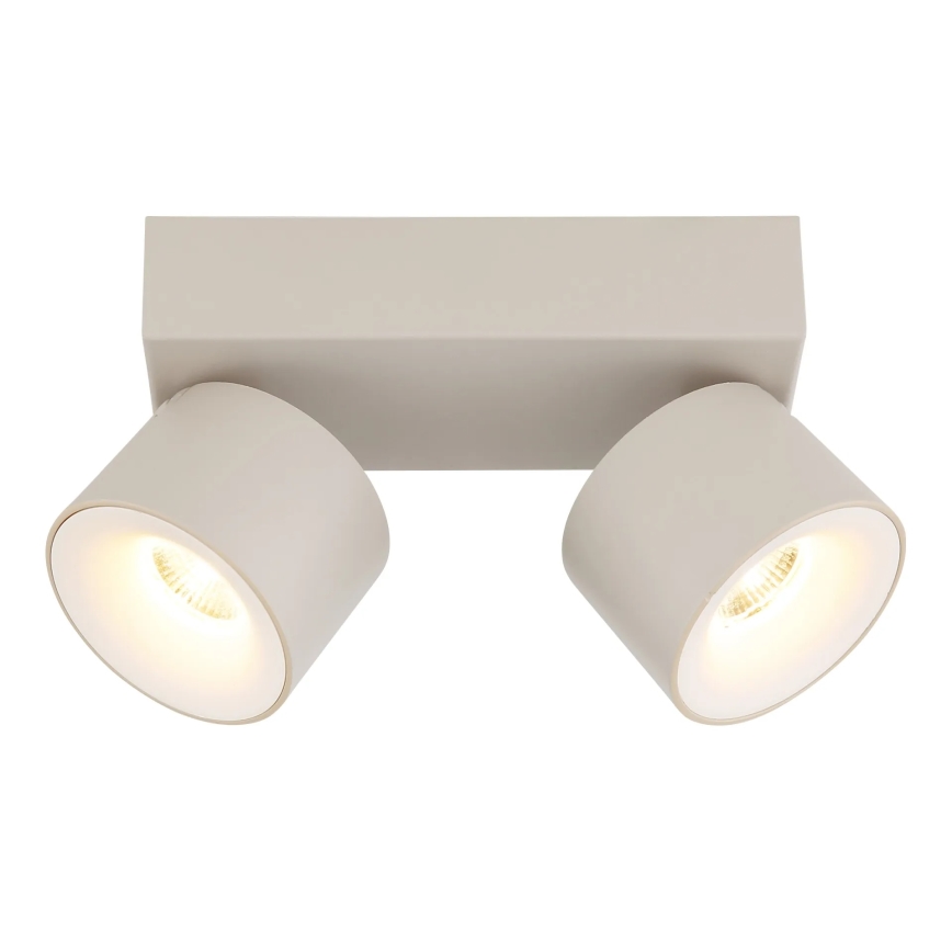 Globo - LED-kohdevalaisin 2xLED/6W/230V