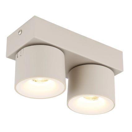 Globo - LED-kohdevalaisin 2xLED/6W/230V