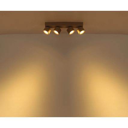 Globo - LED-kohdevalaisin 4xLED/6W/230V