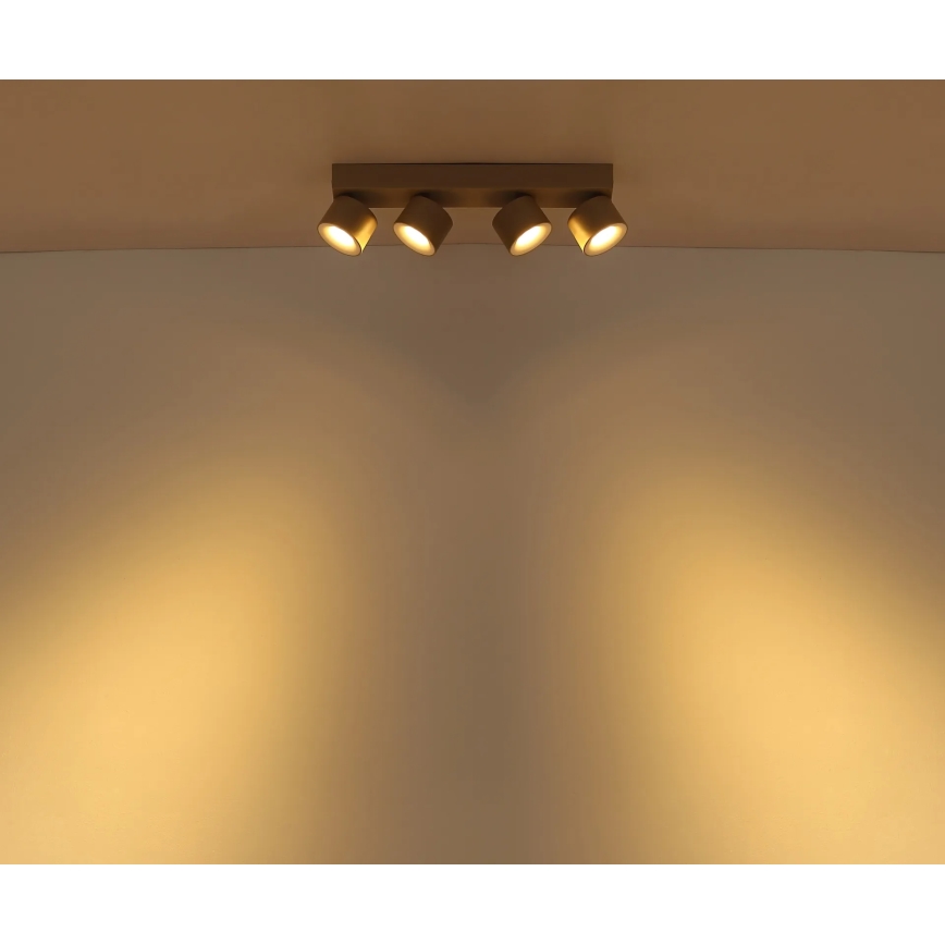 Globo - LED-kohdevalaisin 4xLED/6W/230V