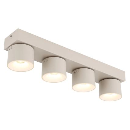 Globo - LED-kohdevalaisin 4xLED/6W/230V