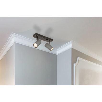 Globo - Kohdevalo 2xGU10/25W/230V