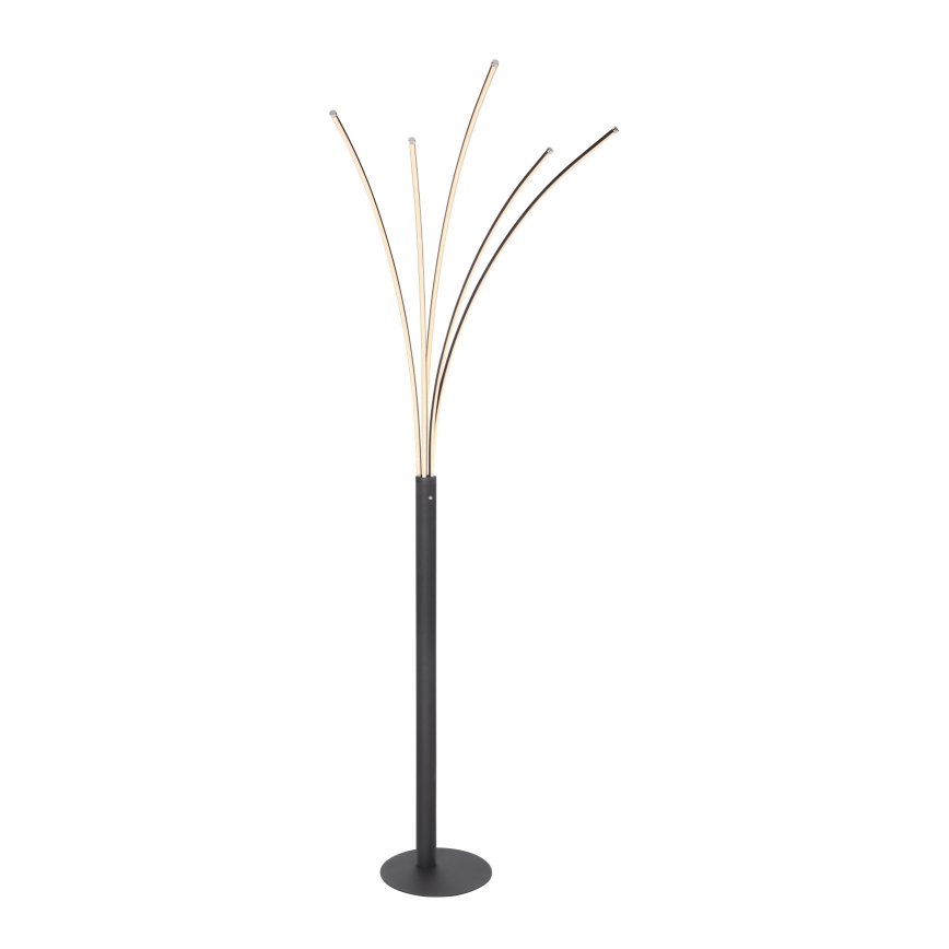 Globo - Himennettävä kosketusohjattu lattiavalaisin LED/36W/230V musta