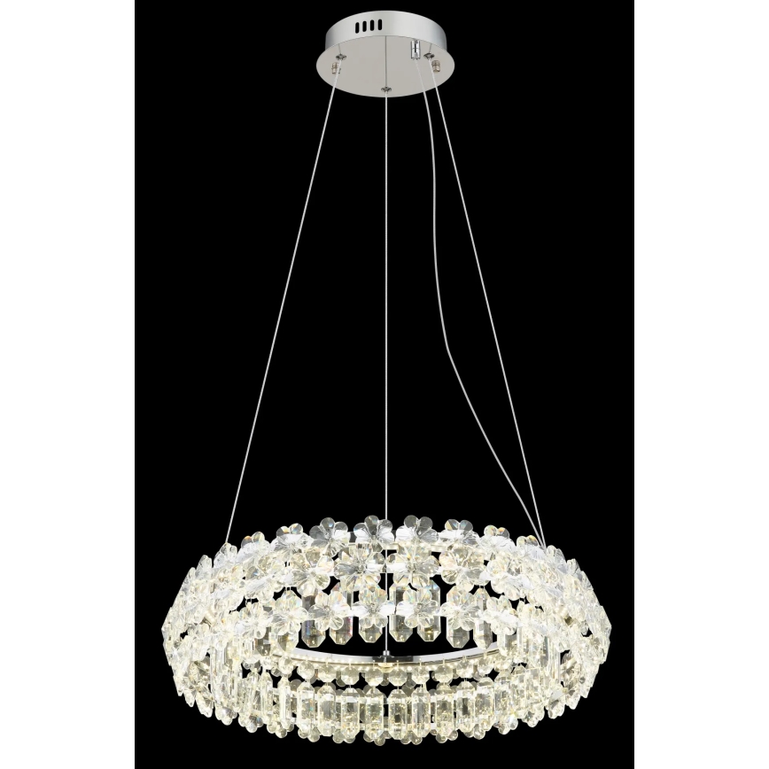 Globo - LED-riippuvalaisin vaijerilla LED/50W/230V 4000K