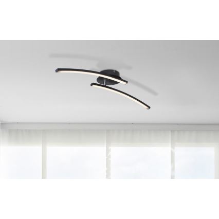 Globo - Kiinteä LED-kattokruunu 2xLED/6W/230V 3000/4000/6000K