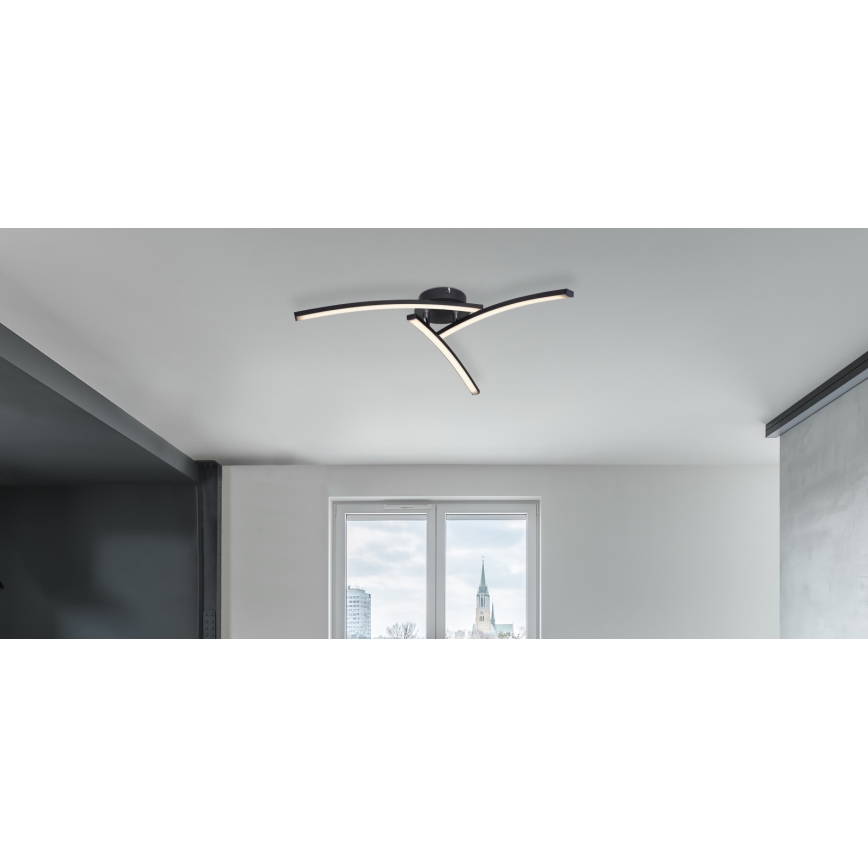 Globo - Kiinteä LED-kattokruunu 3xLED/6W/230V 3000/4000/6000K