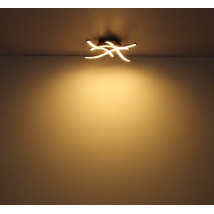 Globo - LED-kattokruunu 4xLED/5W/230V