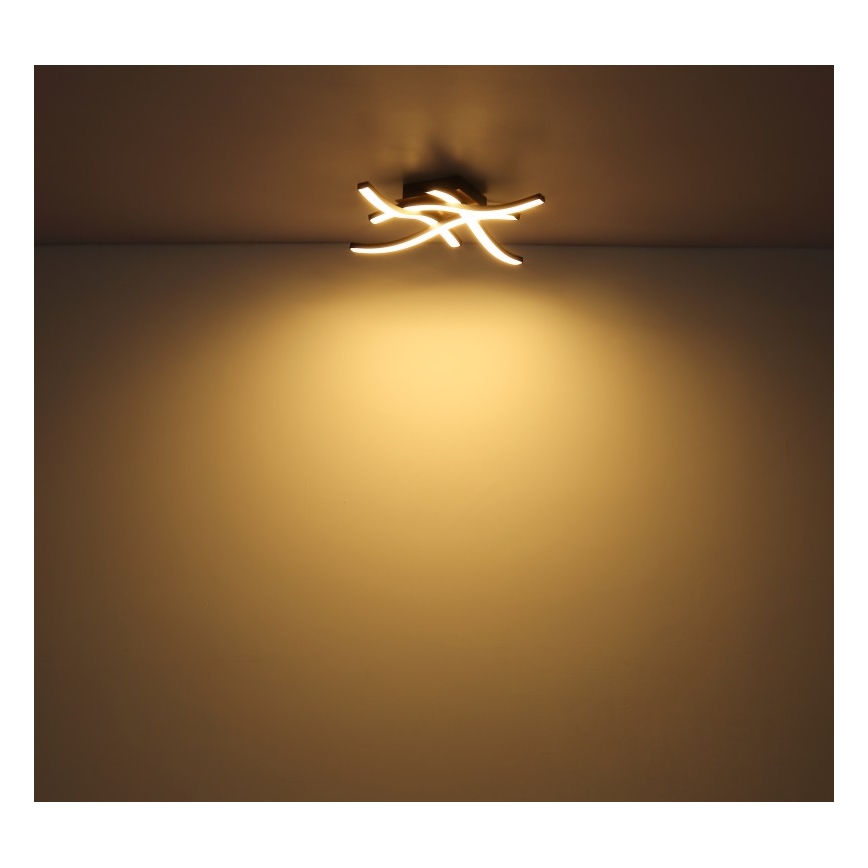 Globo - LED-kattokruunu 4xLED/5W/230V