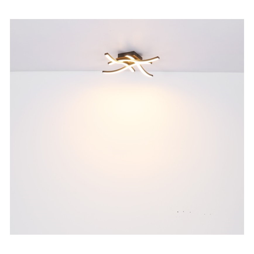 Globo - LED-kattokruunu 4xLED/5W/230V