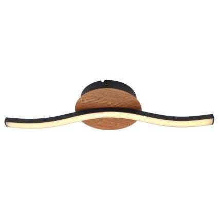 Globo - LED-kattovalaisin LED/6W/230V