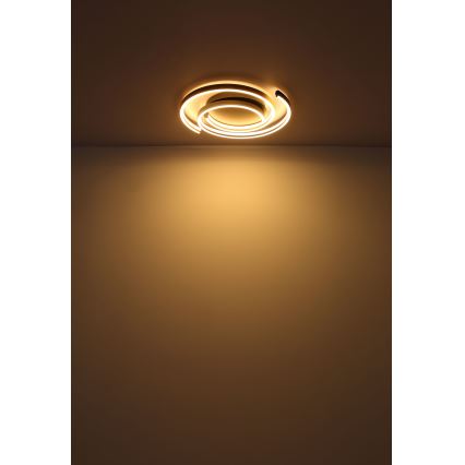 Globo - LED-kattovalaisin LED/38W/230V