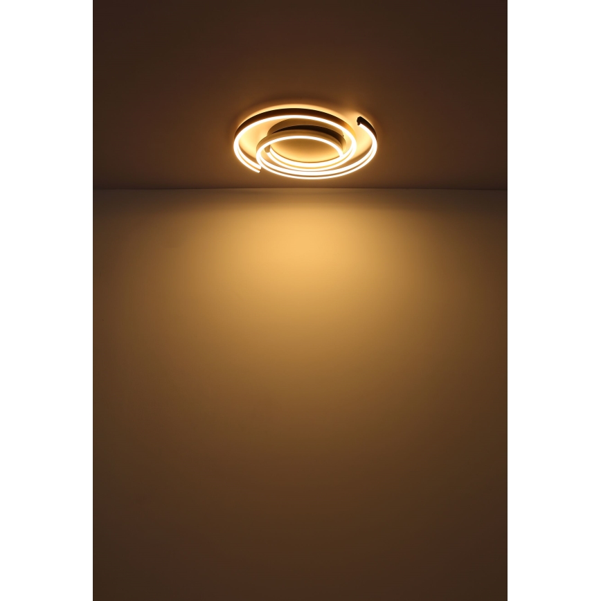 Globo - LED-kattovalaisin LED/38W/230V