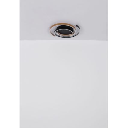 Globo - LED-kattovalaisin LED/38W/230V