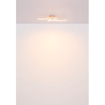 Globo - Kiinteä LED-kattokruunu LED/12W/230V 3000K oranssi