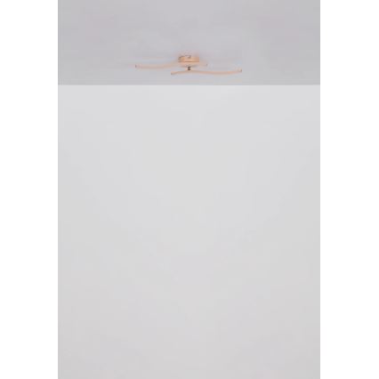 Globo - Kiinteä LED-kattokruunu LED/12W/230V 3000K oranssi