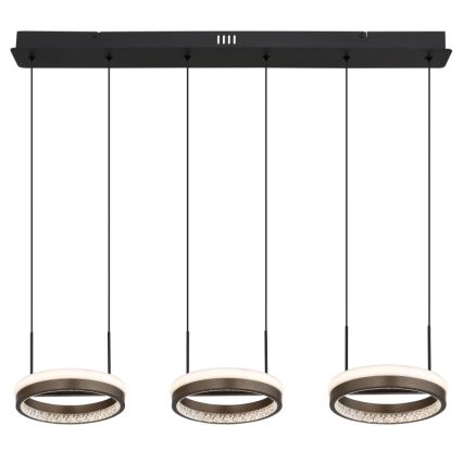 Globo - LED-riippuvalaisin kaapelilla LED/40W/230V 3000/4000/6000K