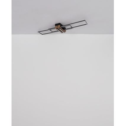 Globo - LED-kattovalaisin LED/40W/230V 3000K 25x100 cm musta