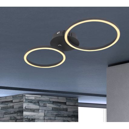 Globo - LED Pinta-asetettava kattokruunu LED/24W/230V