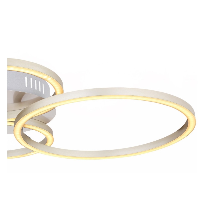 Globo - LED Pinta-asetettava kattokruunu LED/40W/230V