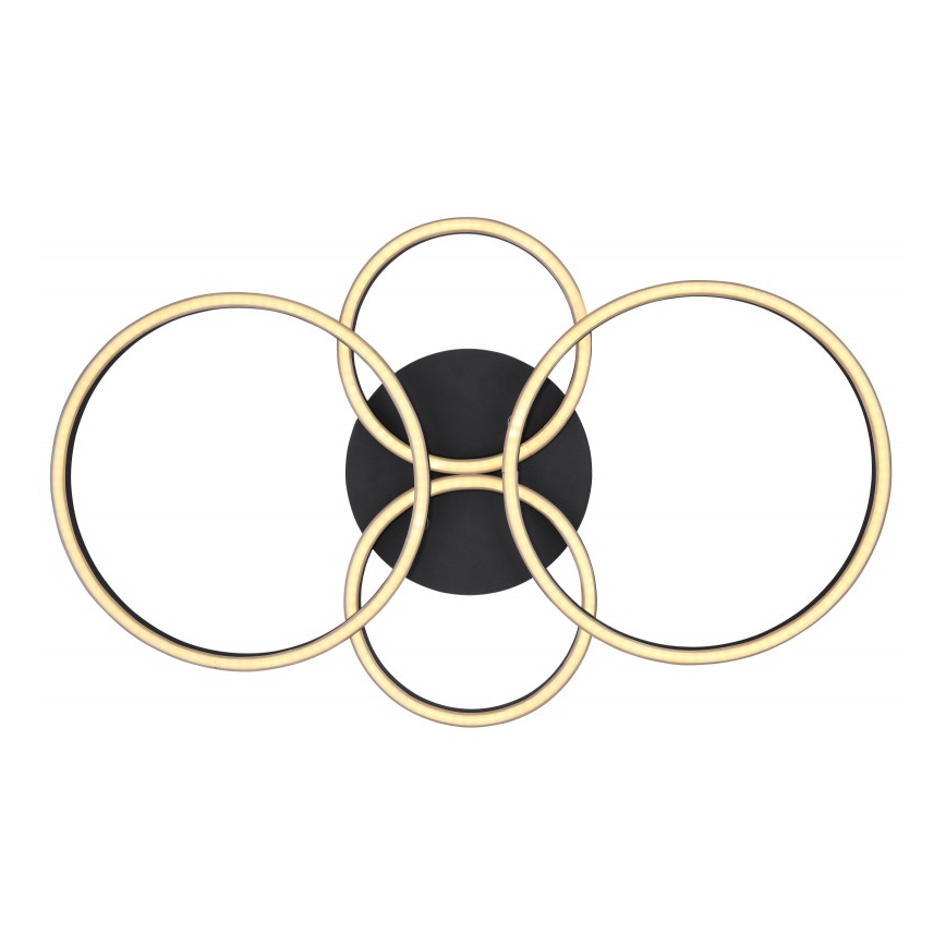 Globo - LED Pinta-asetettava kattokruunu LED/40W/230V