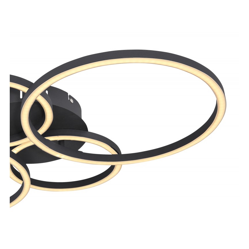 Globo - LED Pinta-asetettava kattokruunu LED/40W/230V