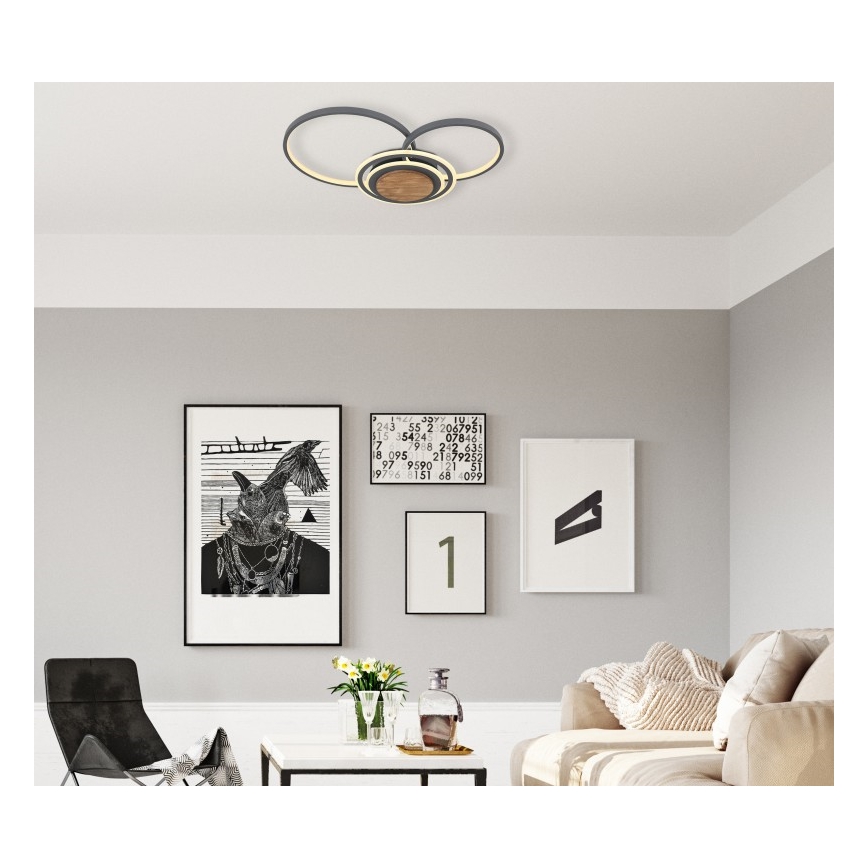 Globo - LED-kattovalaisin LED/40W/230V