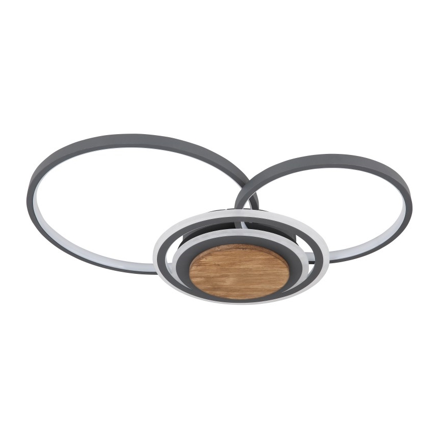 Globo - LED-kattovalaisin LED/40W/230V