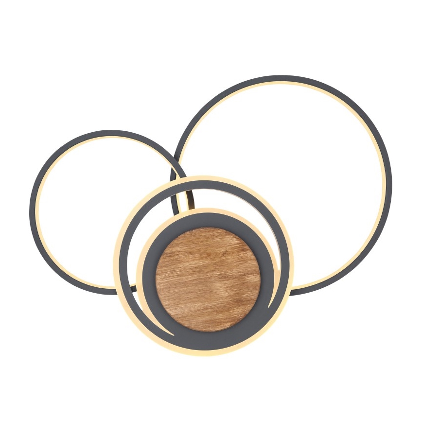 Globo - LED-kattovalaisin LED/40W/230V