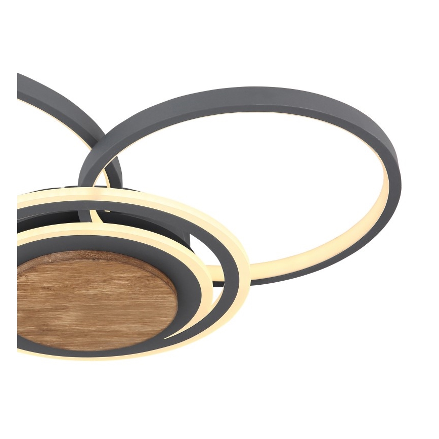 Globo - LED-kattovalaisin LED/40W/230V