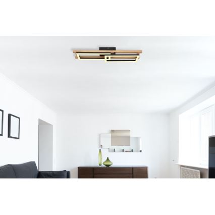 Globo - LED-kattovalaisin LED/20W/230V