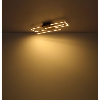 Globo - LED-kattovalaisin LED/18W/230V