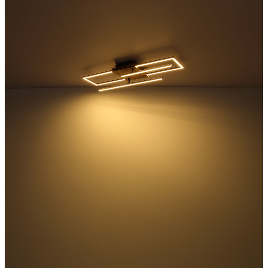 Globo - LED-kattovalaisin LED/18W/230V